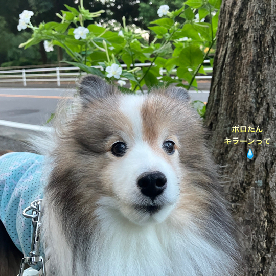 IMG_0201.jpeg