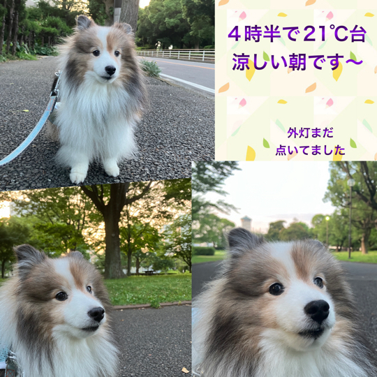 IMG_0202.jpeg