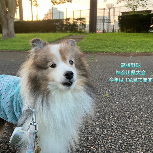 IMG_0204.jpeg