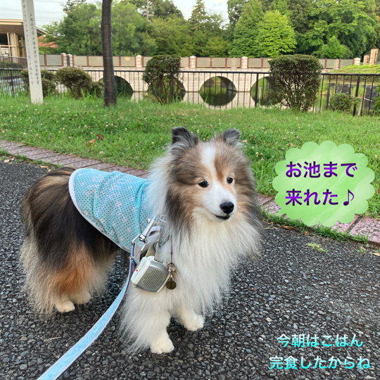 IMG_0205.jpeg