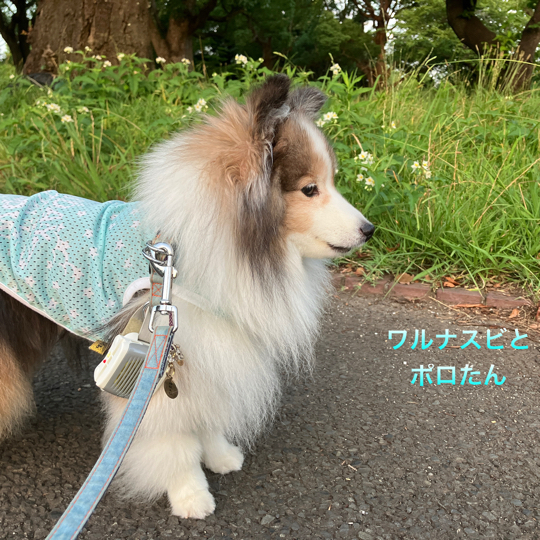 IMG_0206.jpeg
