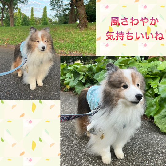 IMG_0208.jpeg