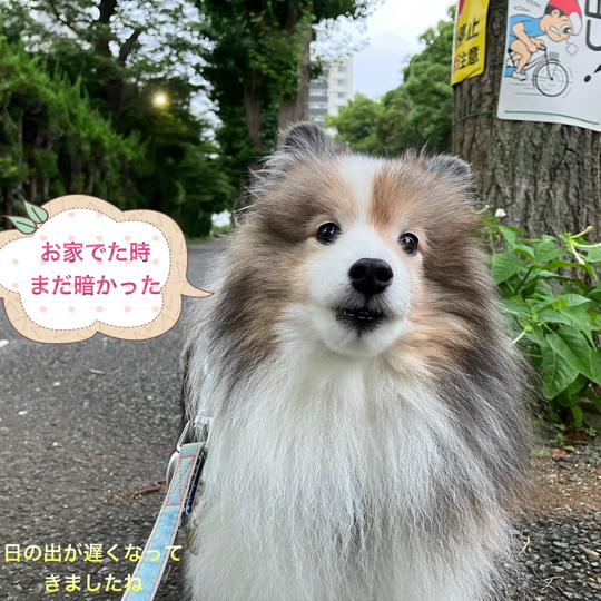 IMG_0237.jpeg
