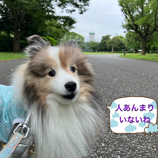 IMG_0238.jpeg