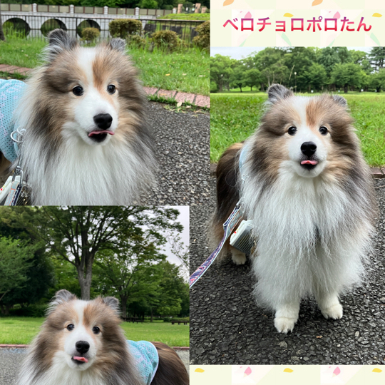 IMG_0241.jpeg