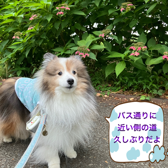 IMG_0242.jpeg