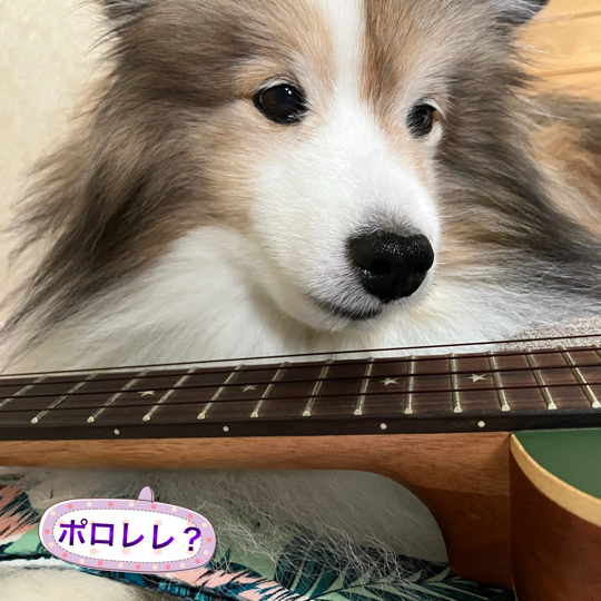 IMG_0268.jpeg