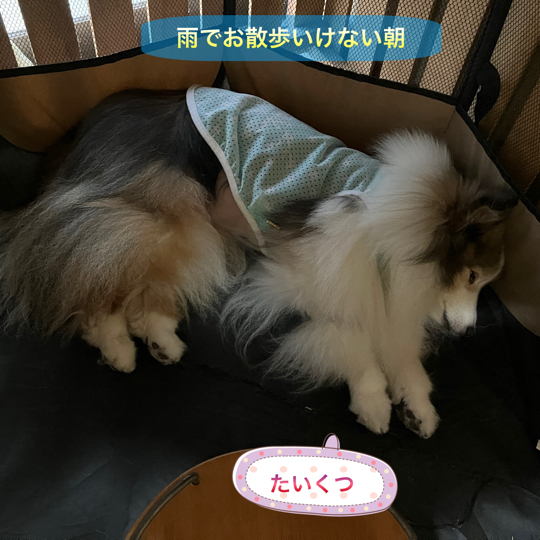 IMG_0287.jpeg
