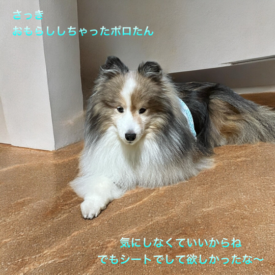 IMG_0289.jpeg