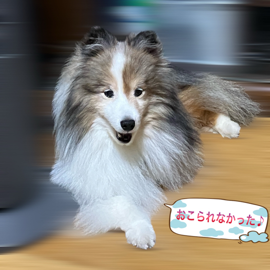 IMG_0290.jpeg