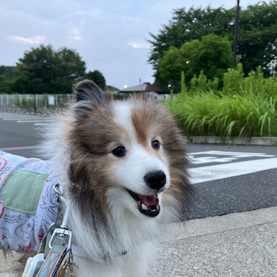 IMG_0318.jpeg