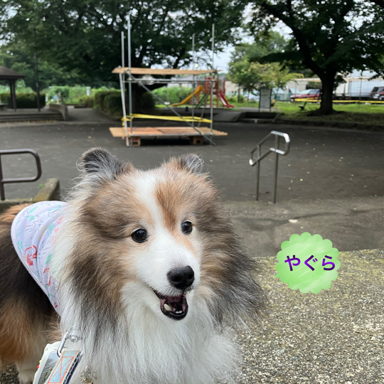 IMG_0321.jpeg