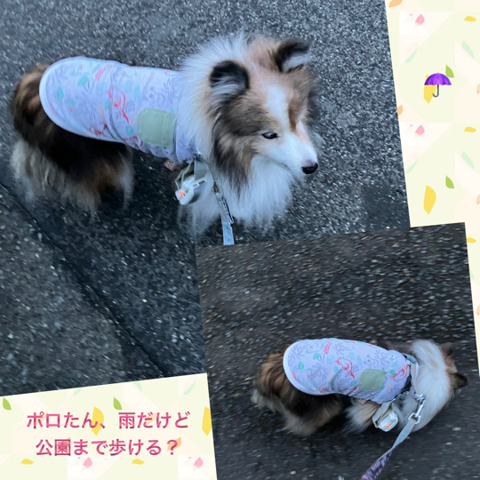 IMG_0344.jpeg