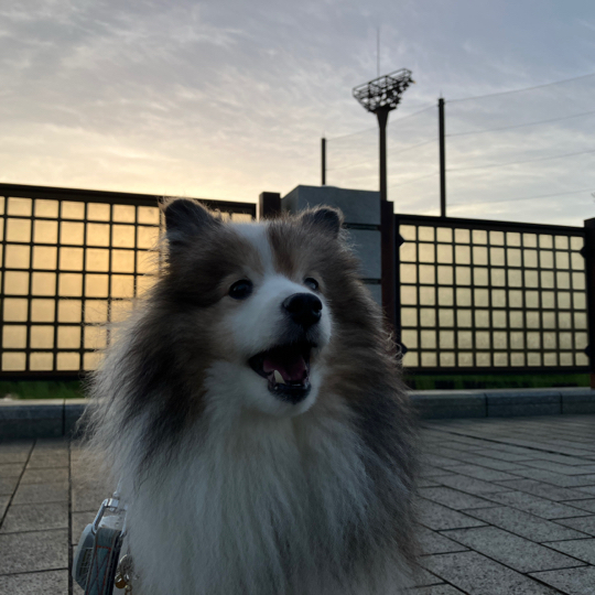 IMG_0380.jpeg