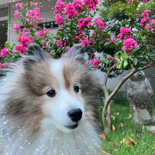 IMG_1258.jpeg
