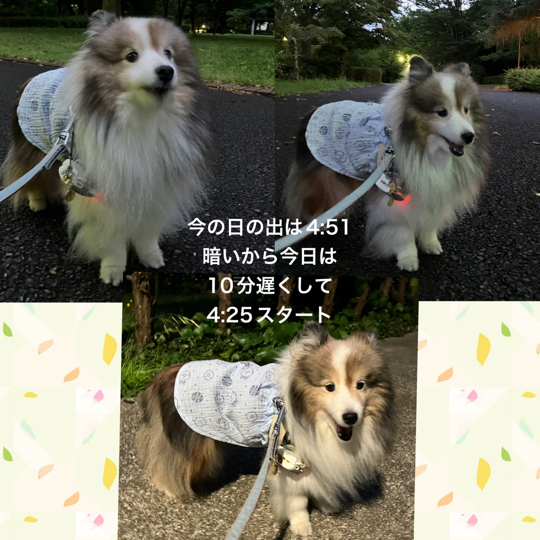 IMG_1296.jpeg