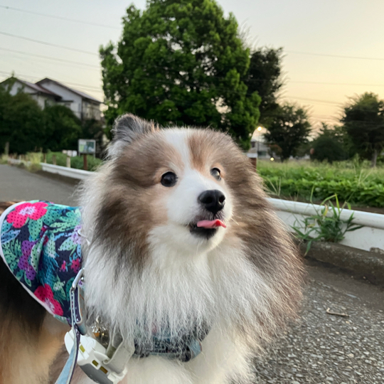 IMG_1345.jpeg