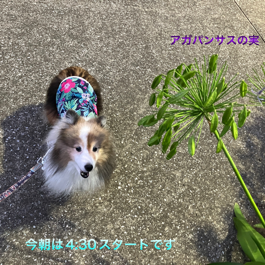 IMG_1392.jpeg