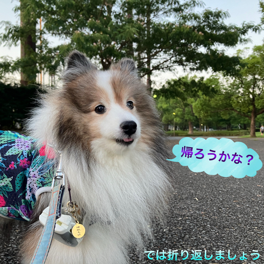 IMG_1399.jpeg