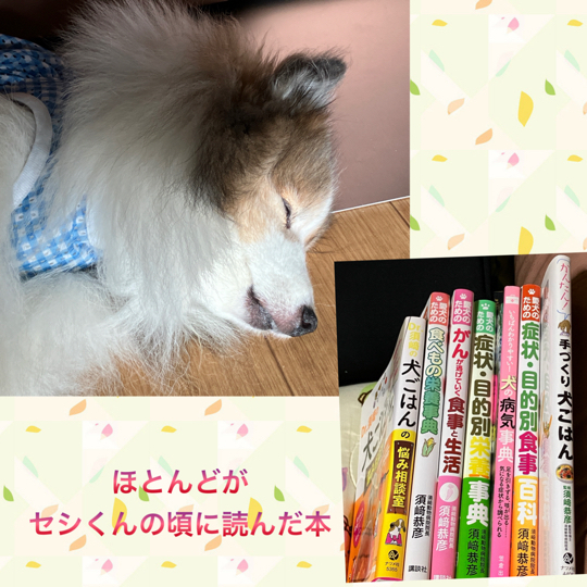 IMG_1456.jpeg