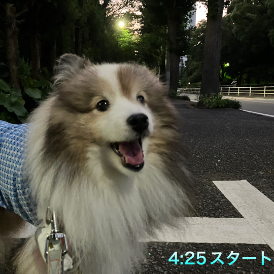 IMG_1482.jpeg
