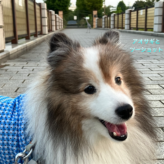IMG_1488.jpeg