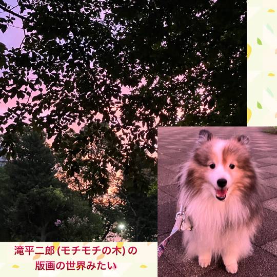 IMG_1541.jpeg
