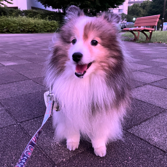 IMG_1542.jpeg