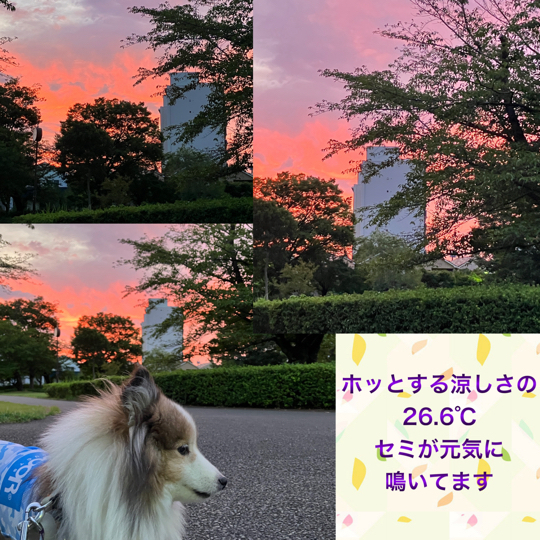 IMG_1627.jpeg