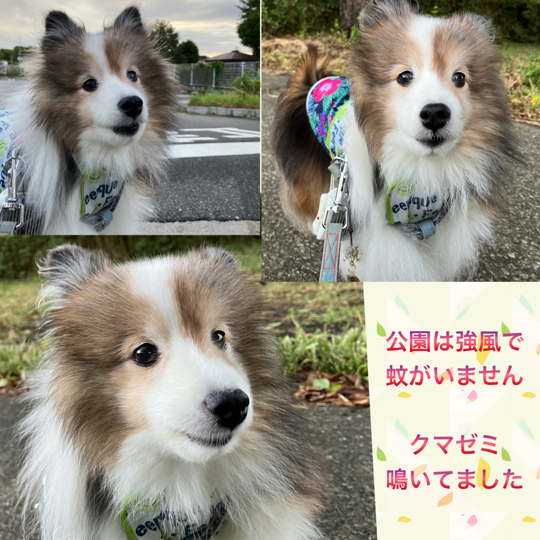 IMG_1732.jpeg
