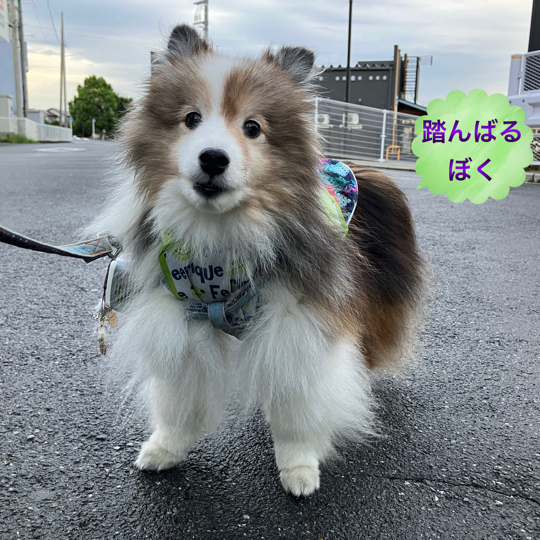 IMG_1734.jpeg