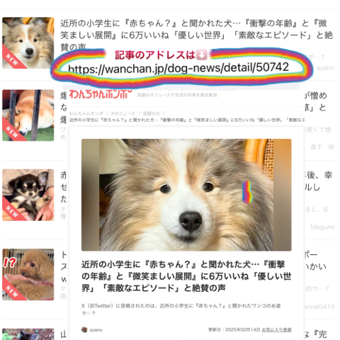 IMG_2899.jpeg