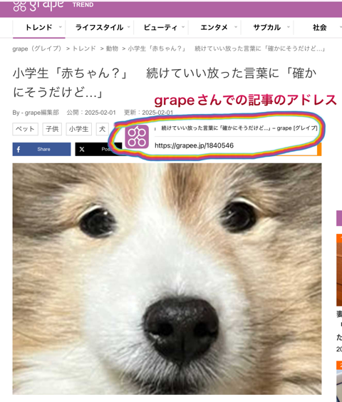 IMG_2904.png