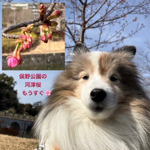 IMG_2920.jpeg