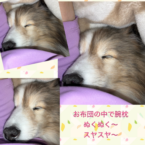 IMG_2991.jpeg