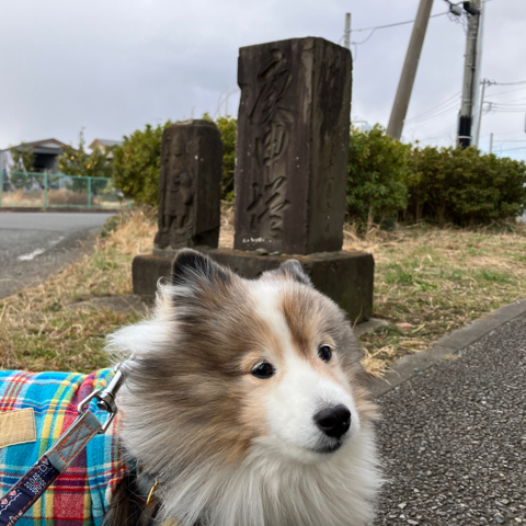 IMG_3020.jpeg
