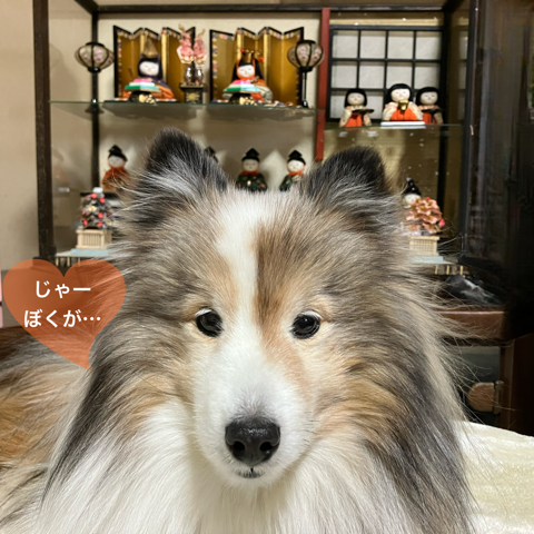 IMG_3180.png