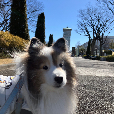 IMG_3183.jpeg