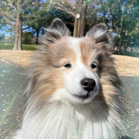 IMG_3184.jpeg