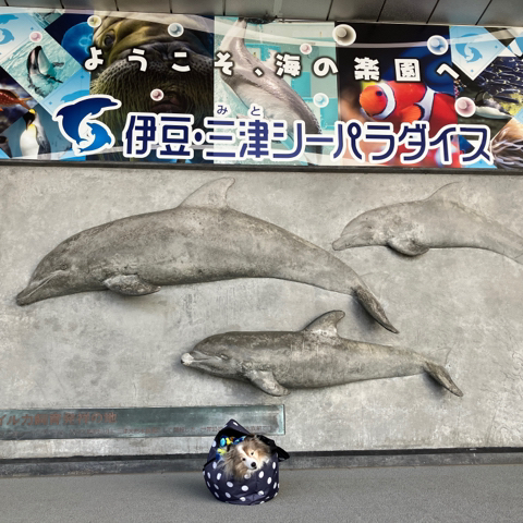 IMG_3346.jpeg