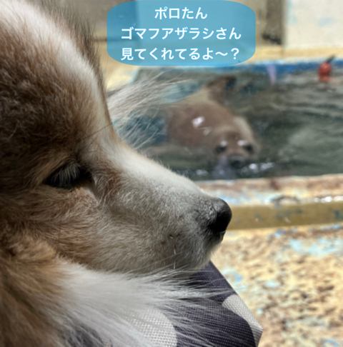 IMG_3351.jpeg