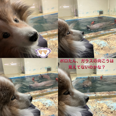 IMG_3352.jpeg