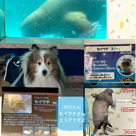 IMG_3354.jpeg