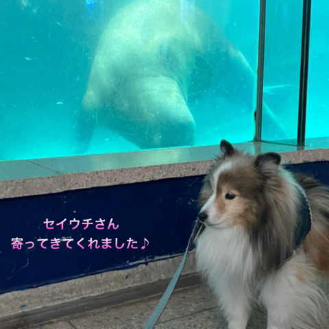 IMG_3356.jpeg