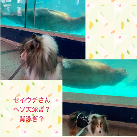 IMG_3357.jpeg