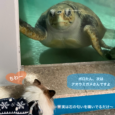 IMG_3359.jpeg