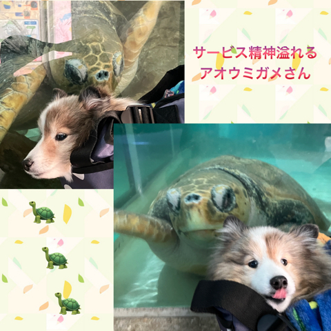 IMG_3385.jpeg
