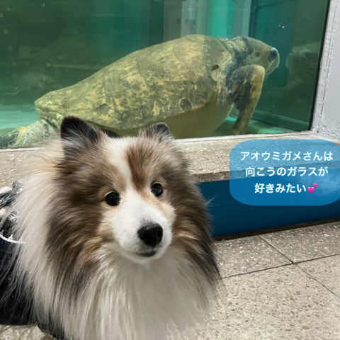 IMG_3386.jpeg