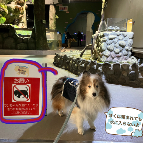 IMG_3388.jpeg