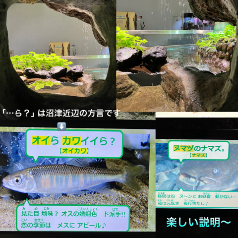IMG_3393.jpeg